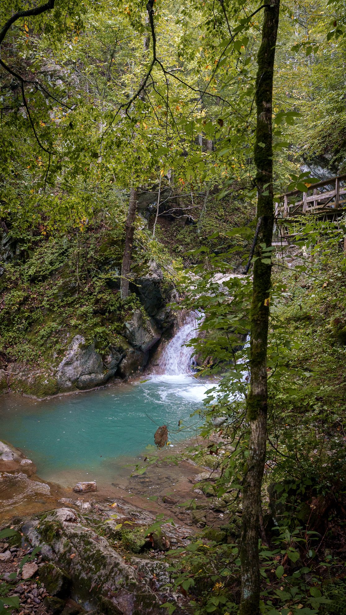 A small waterfall spilling into a turquoise pool in a wooded gorge