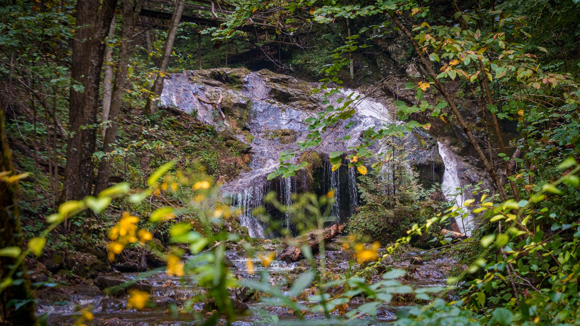 A wide waterfall glimpsed through overhanging forest leaves