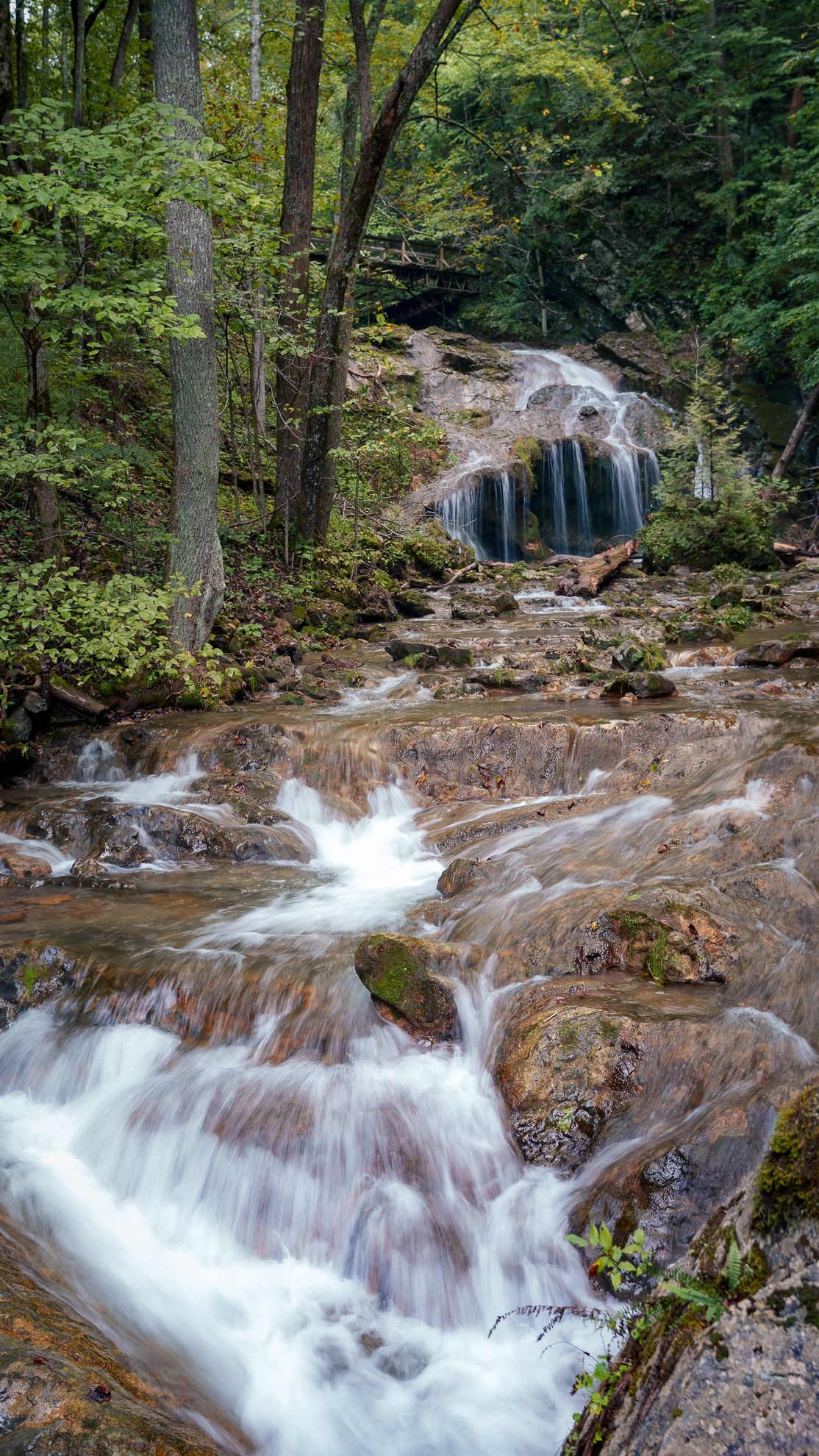 A forest waterfall framed by the first yellow leaves of autumn