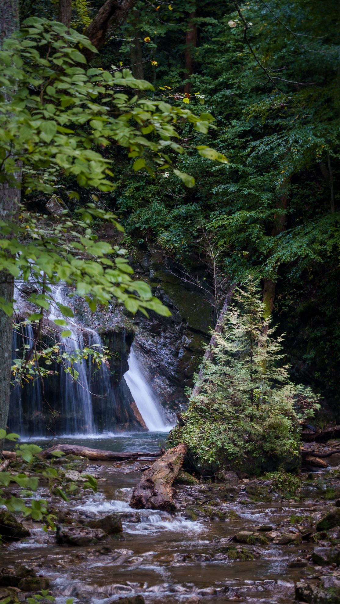 A shaded waterfall dropping through dense green forest