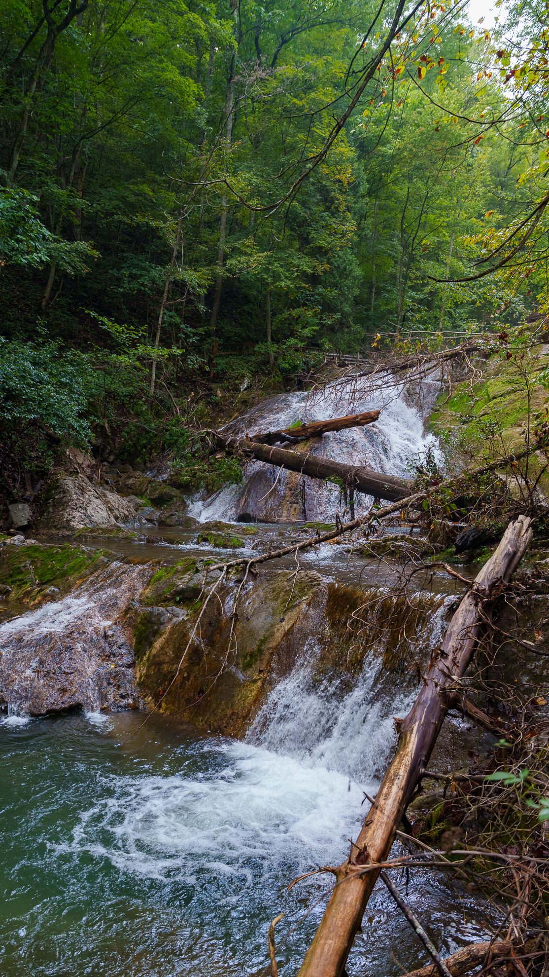 A multi-tiered waterfall cascading over mossy rock ledges