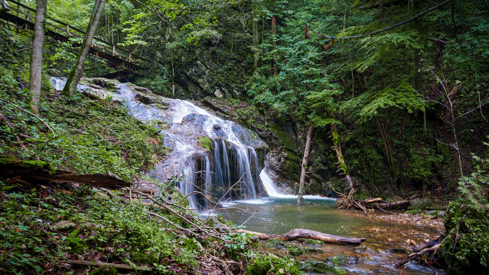 A wide waterfall dropping into a clear plunge pool in a forest gorge
