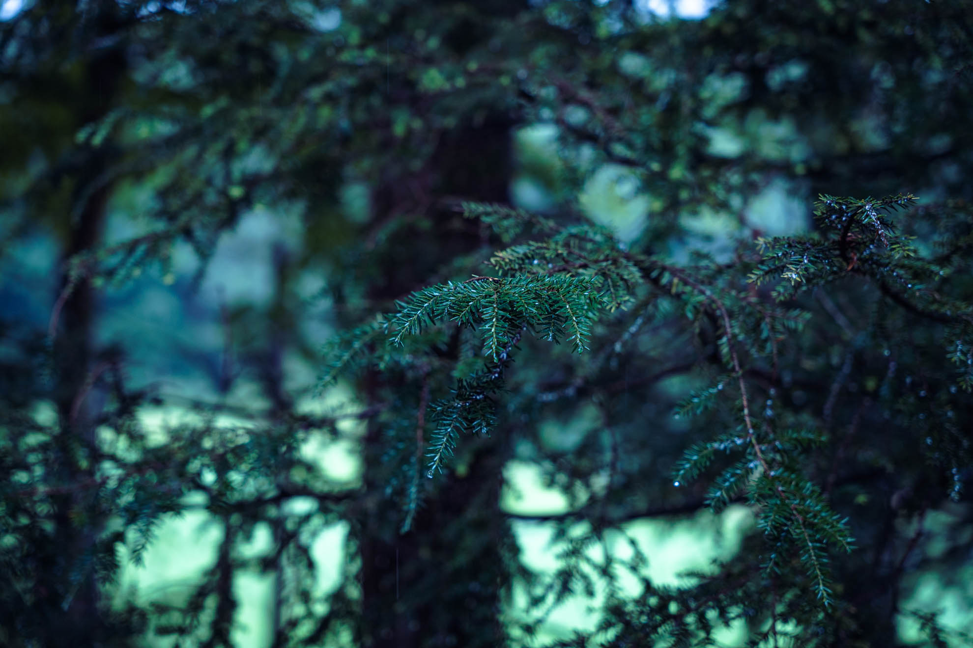 Landscapes — DSC01305