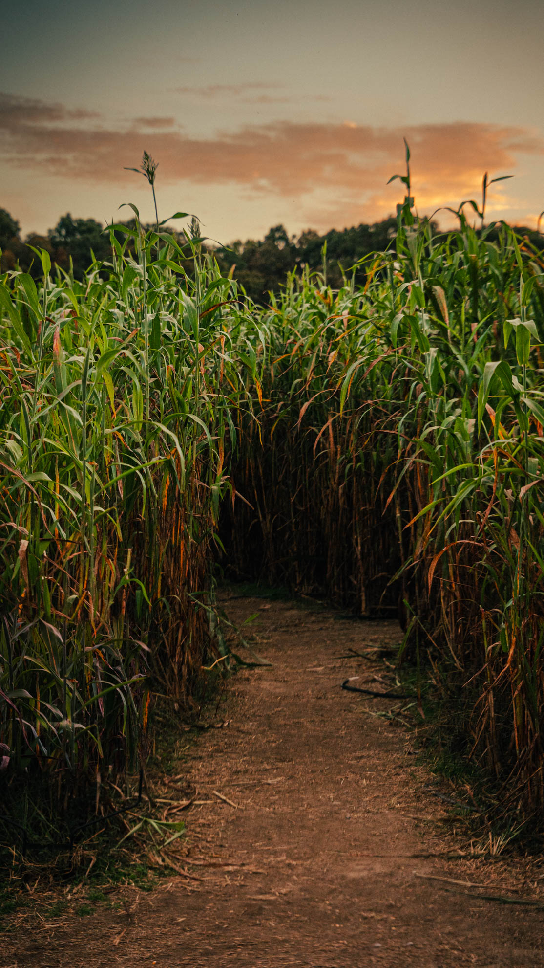 Landscapes — DSC02381