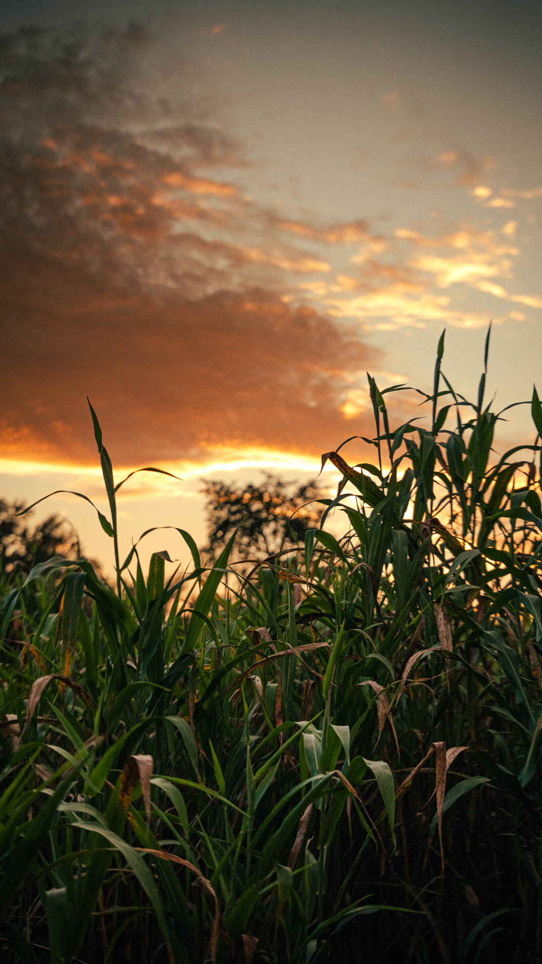 Landscapes — DSC02384