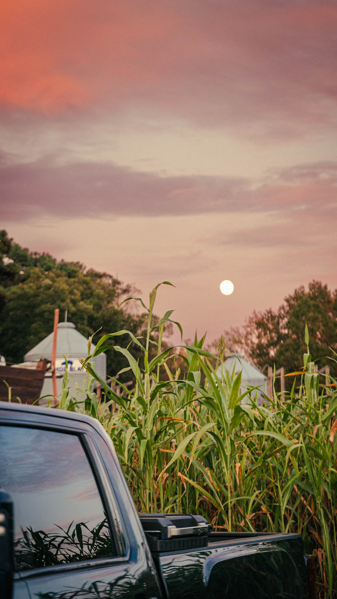 Landscapes — DSC02388