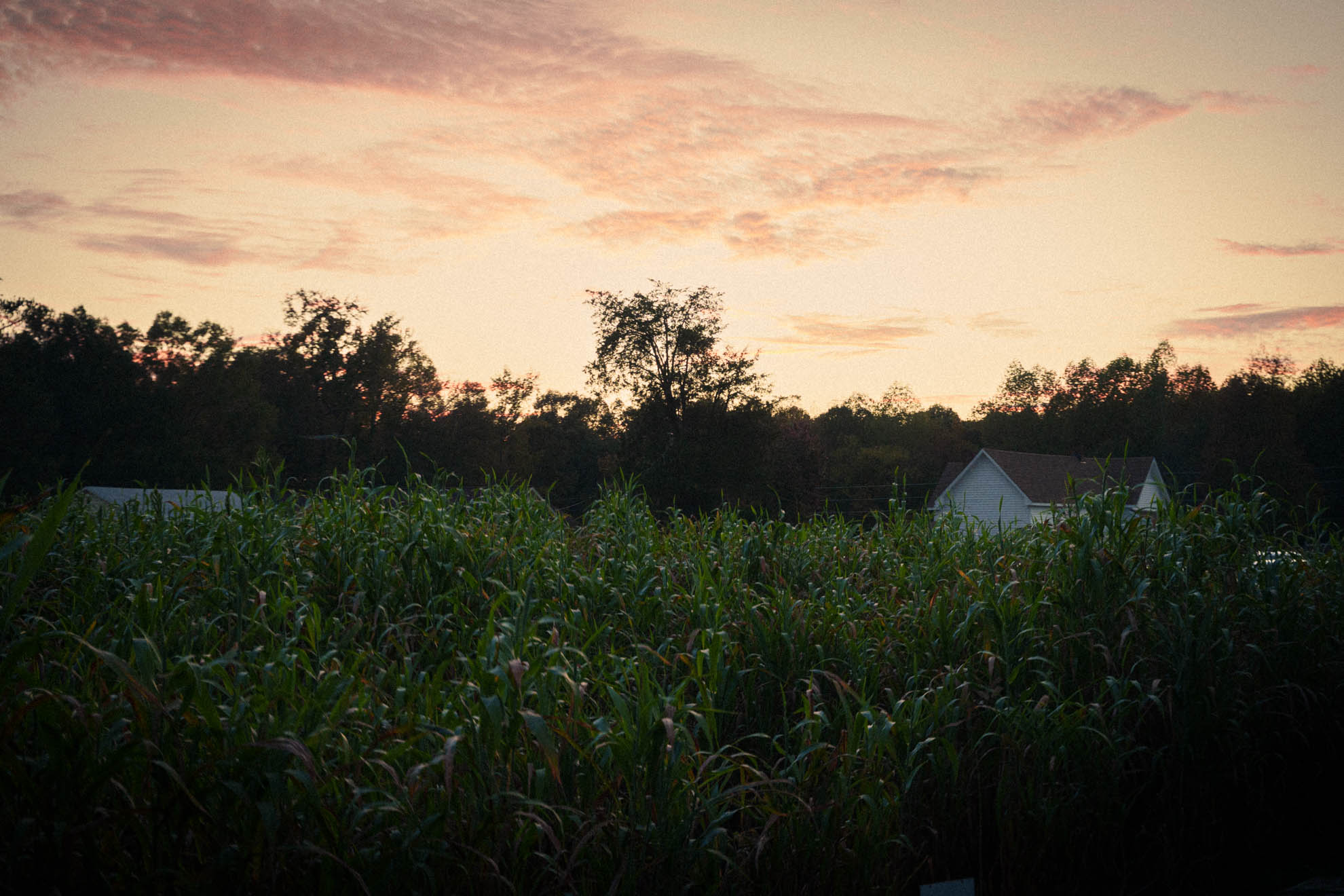 Landscapes — DSC02401