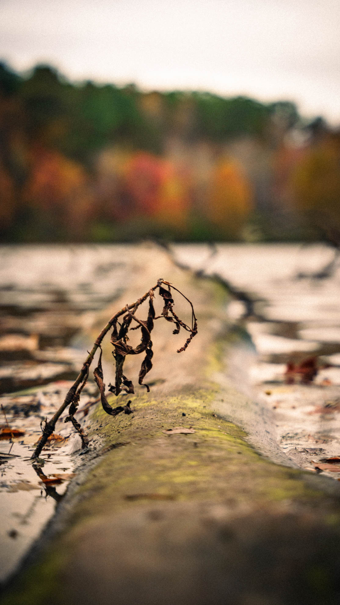 Landscapes — DSC02660