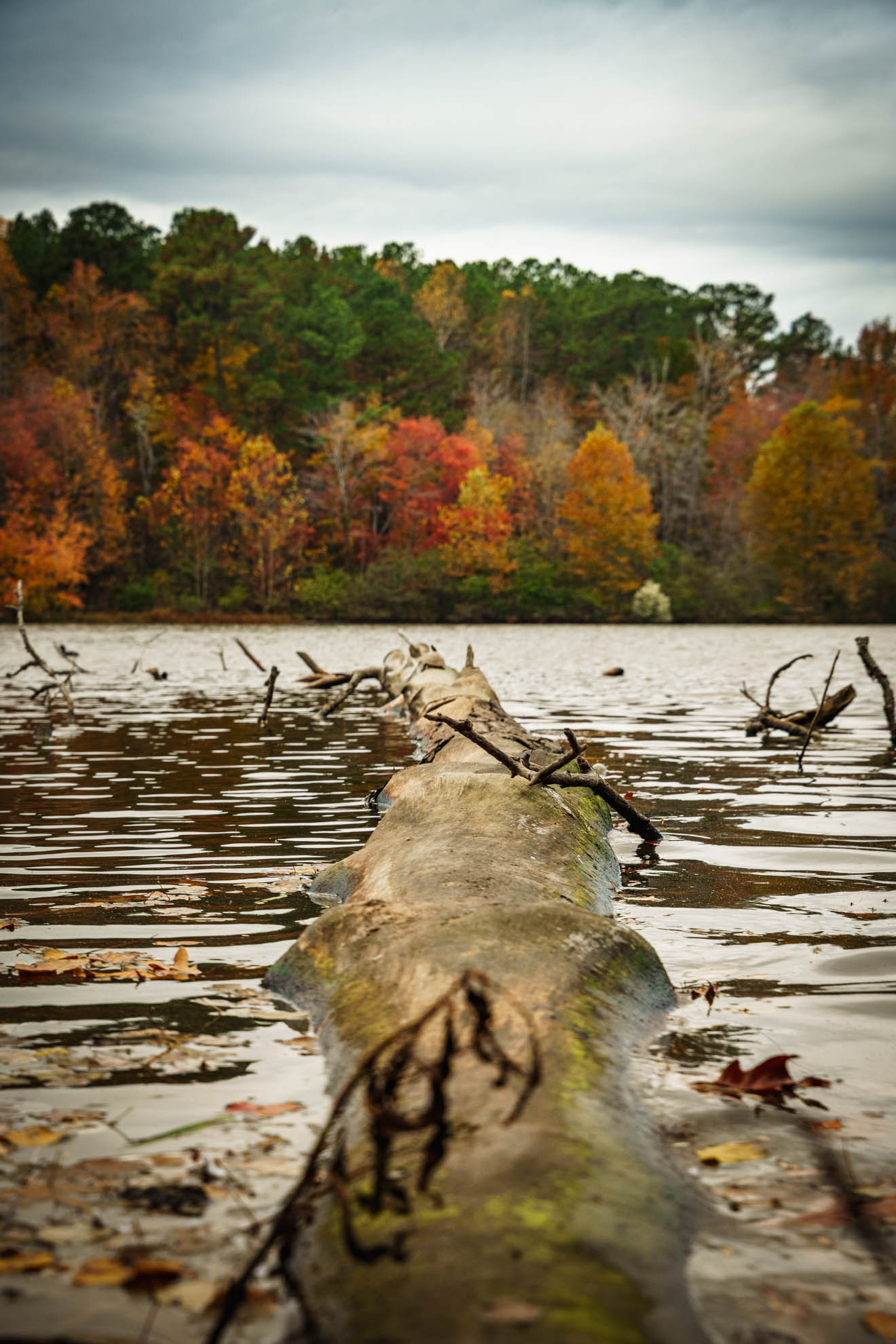 Landscapes — DSC02663