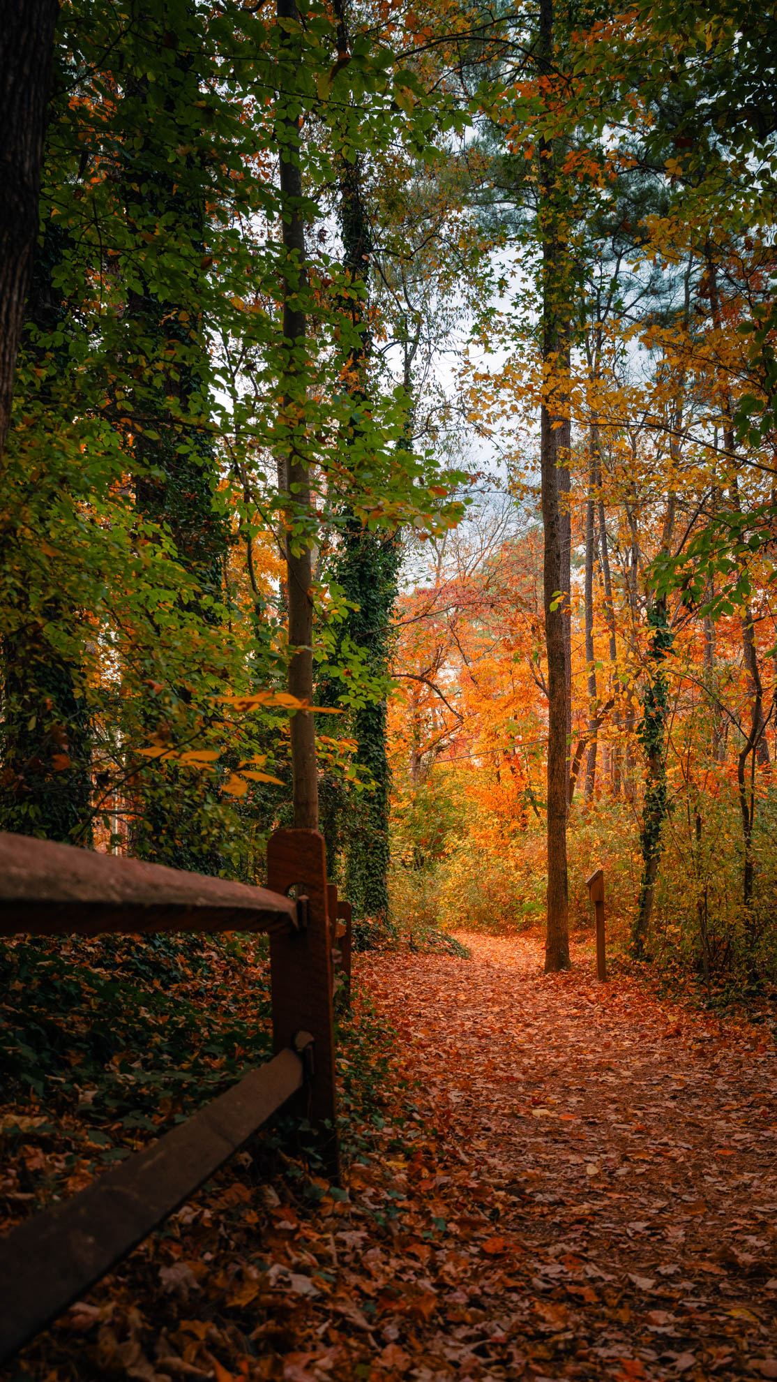Landscapes — DSC02674