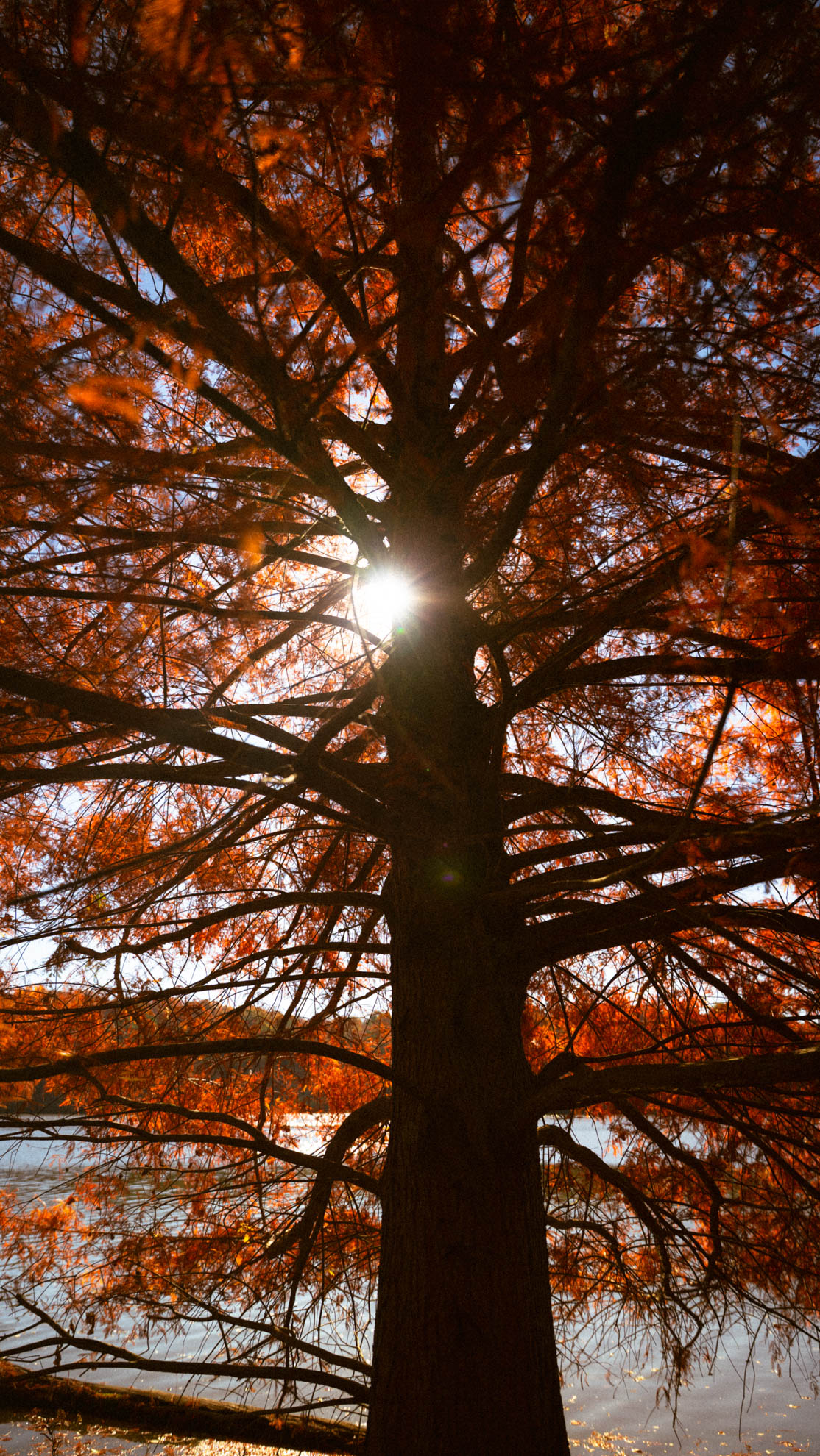 Landscapes — DSC02744
