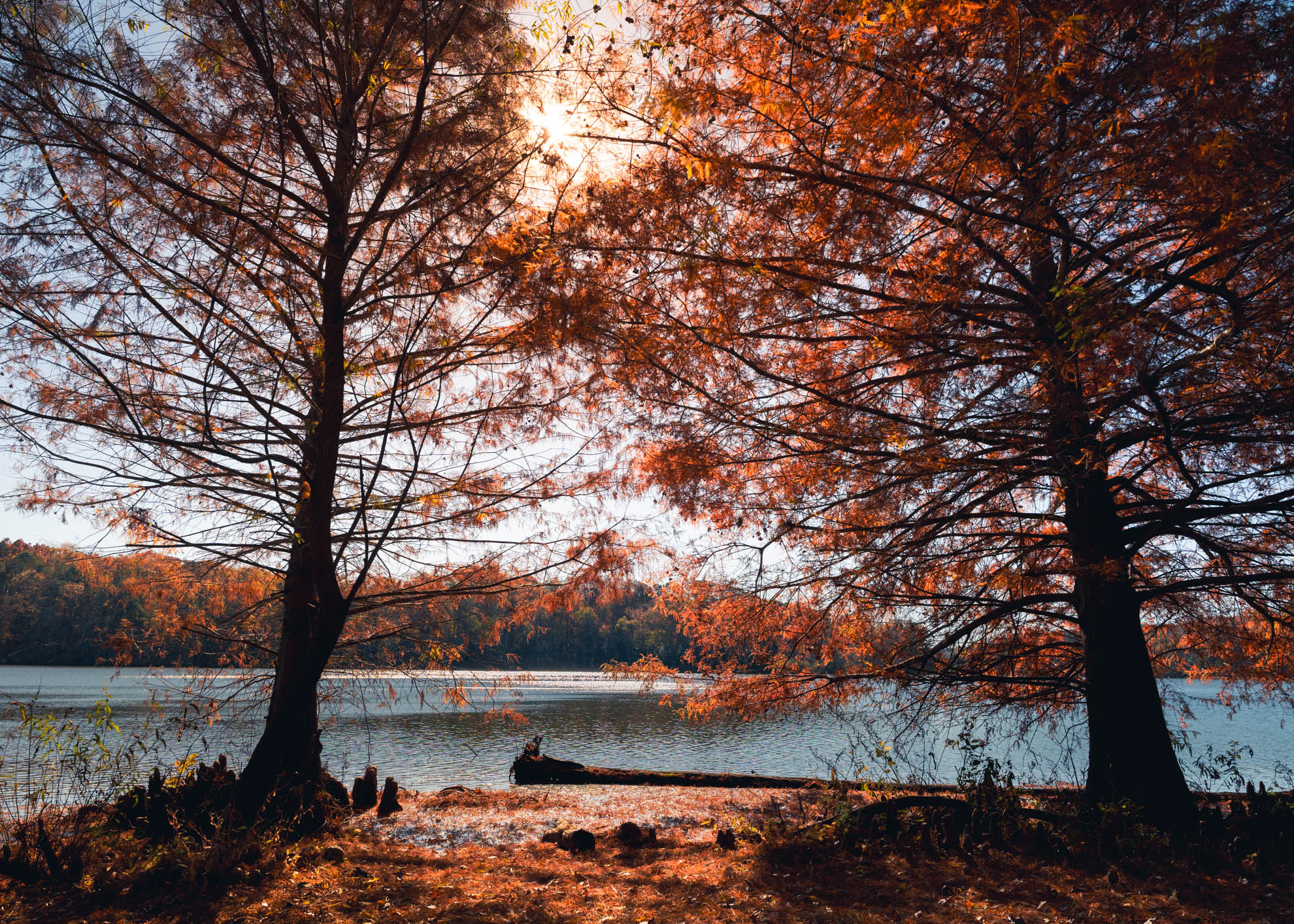 Landscapes — DSC02766