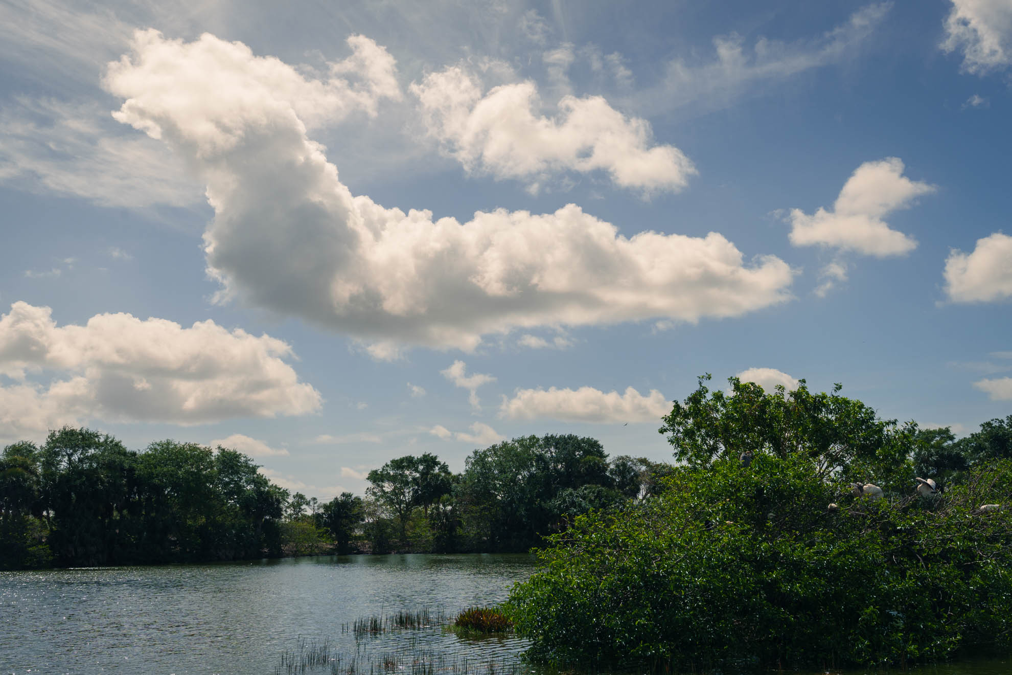 Landscapes — DSC03315