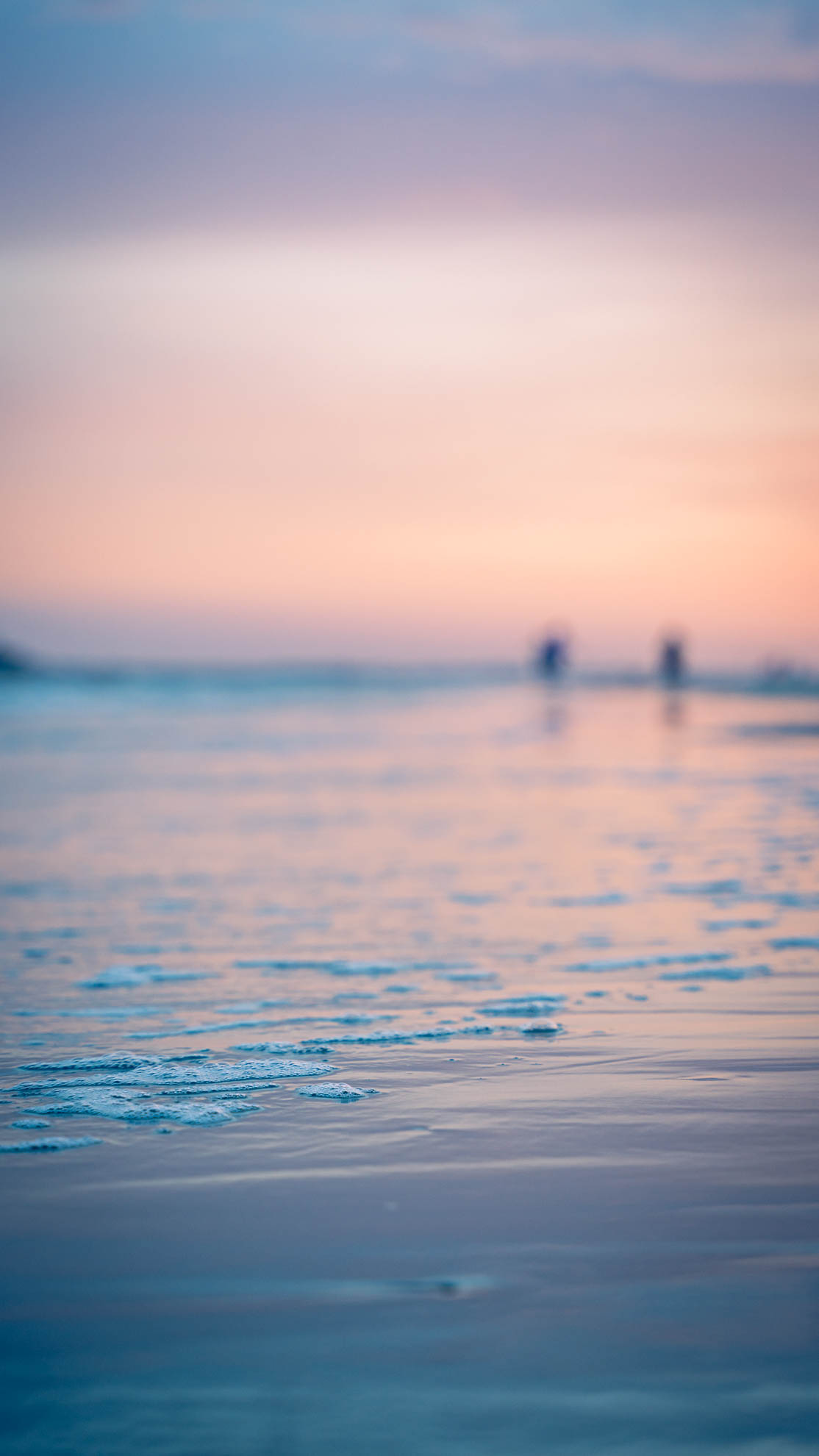 Landscapes — DSC04917
