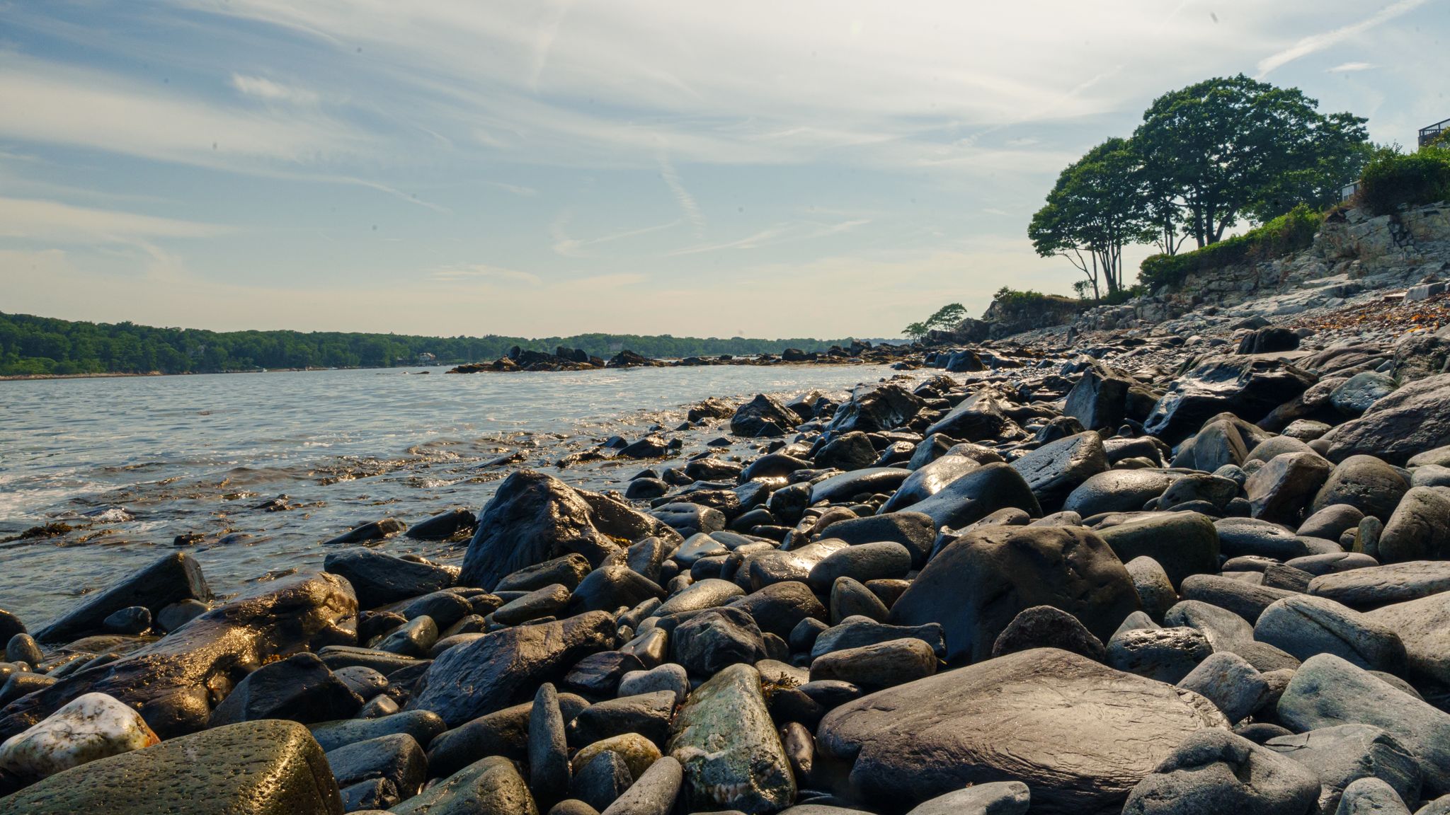 Seaweed-covered rocks at low tide along a quiet Maine cove
