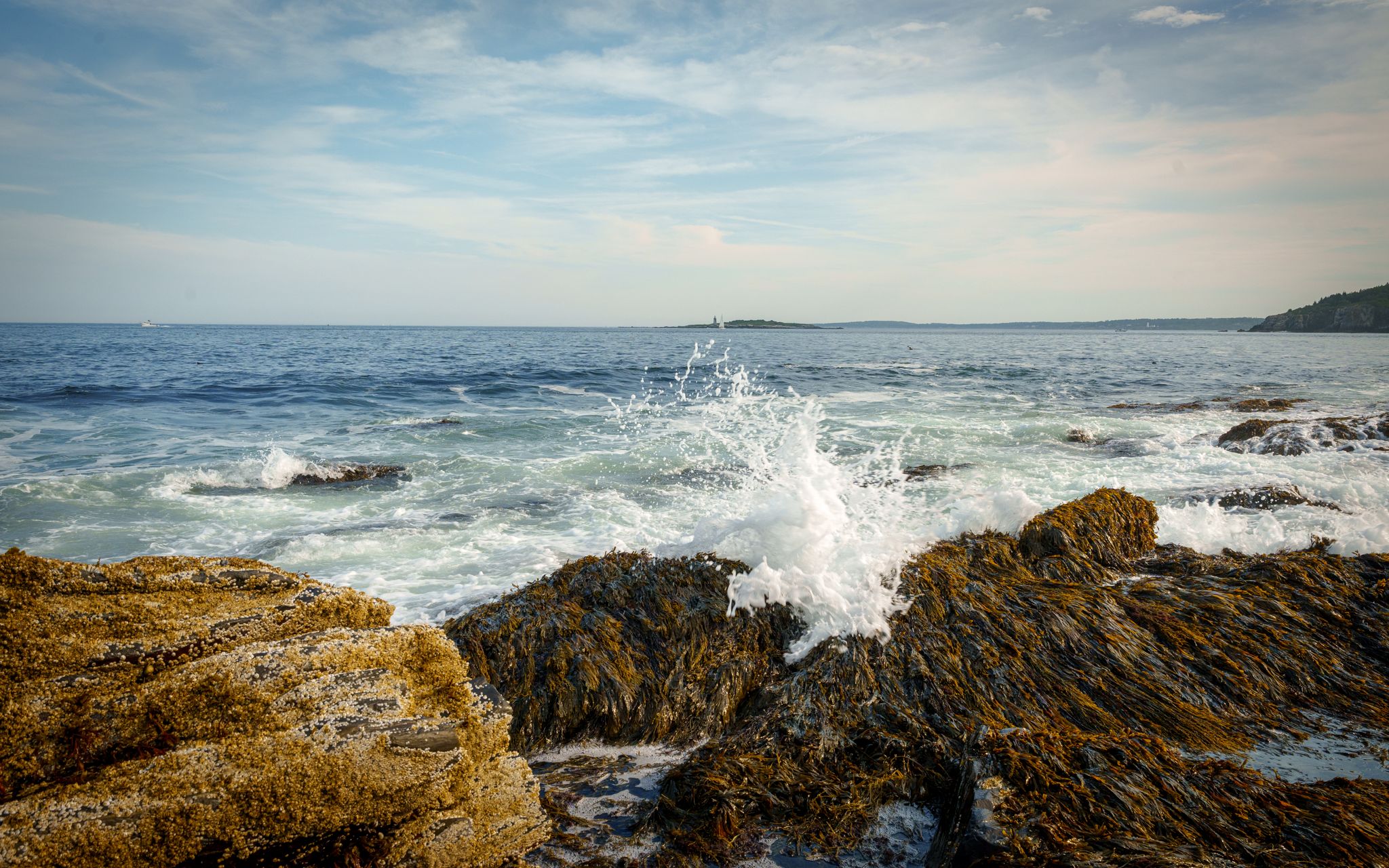 Surf bursting over seaweed-draped rocks under a summer sky
