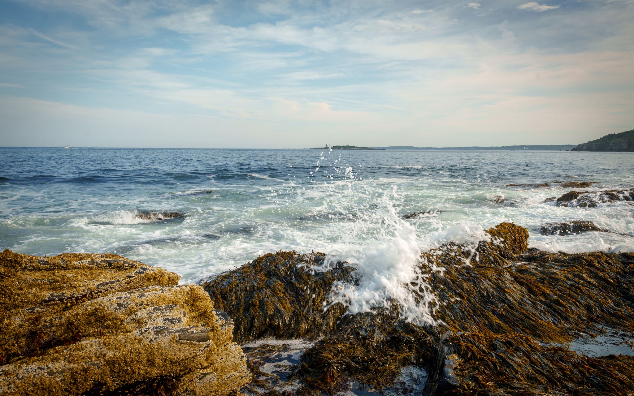 White spray leaping from rocks at the tide line