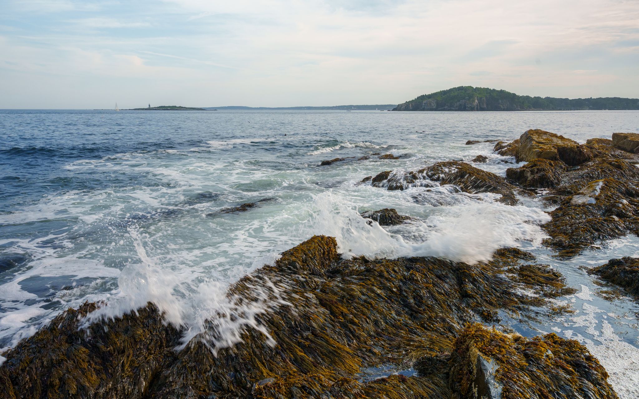 Waves washing over brown rock ledges toward a wooded island