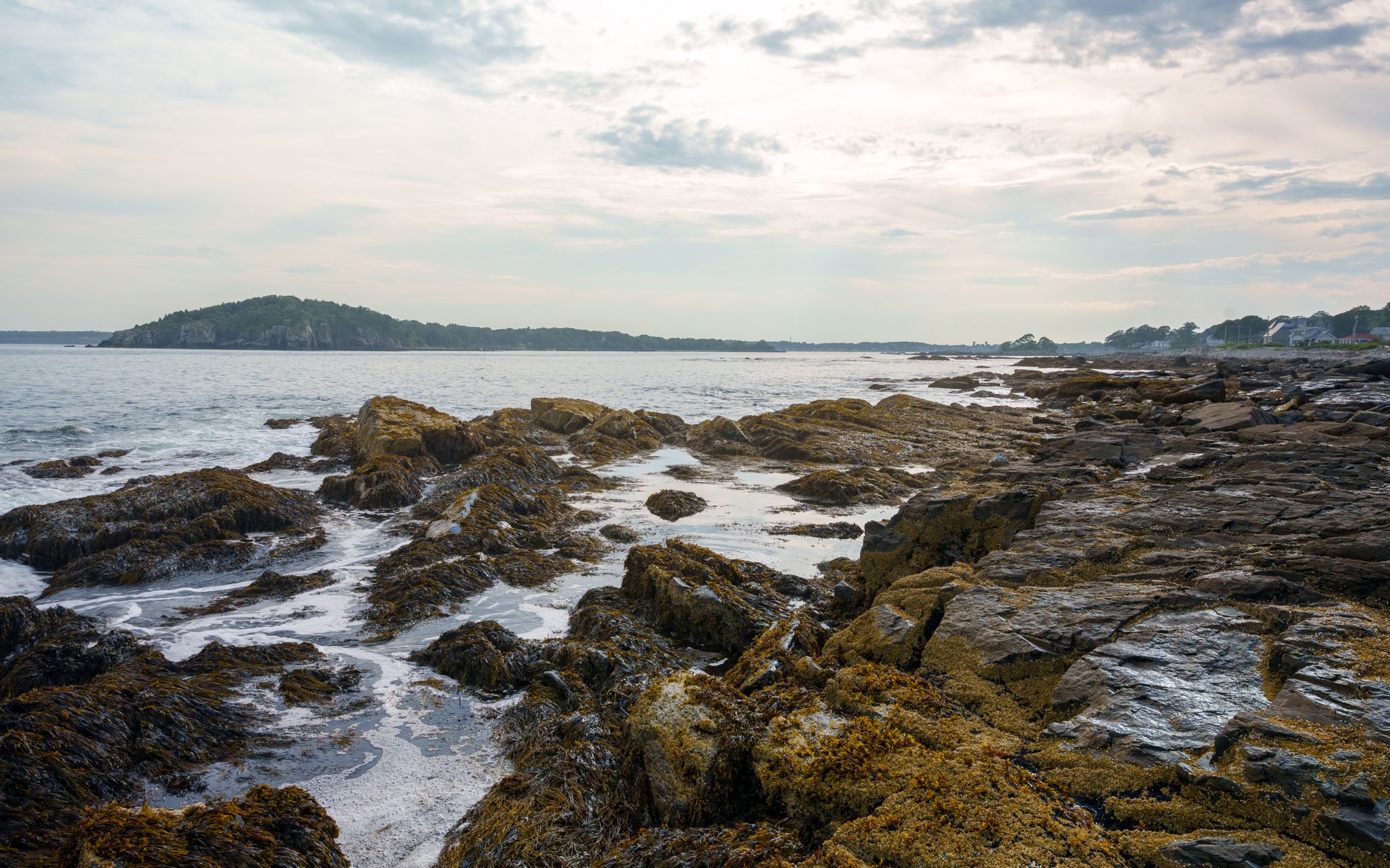 Tide pools resting in rock ledges under a pale sky