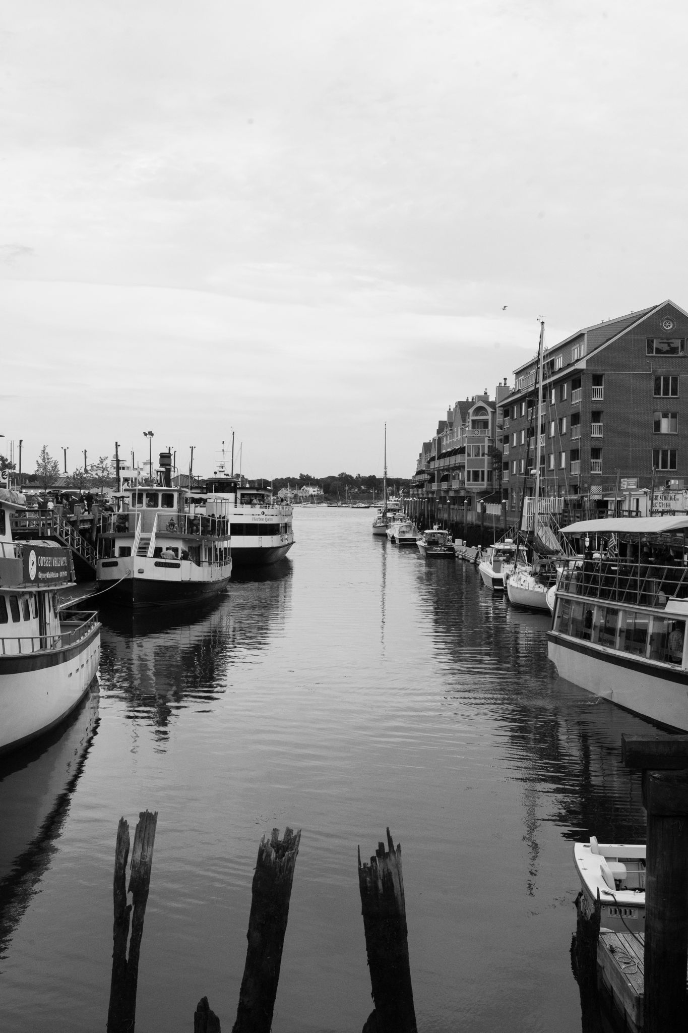 Excursion boats lining a narrow Portland wharf, black and white