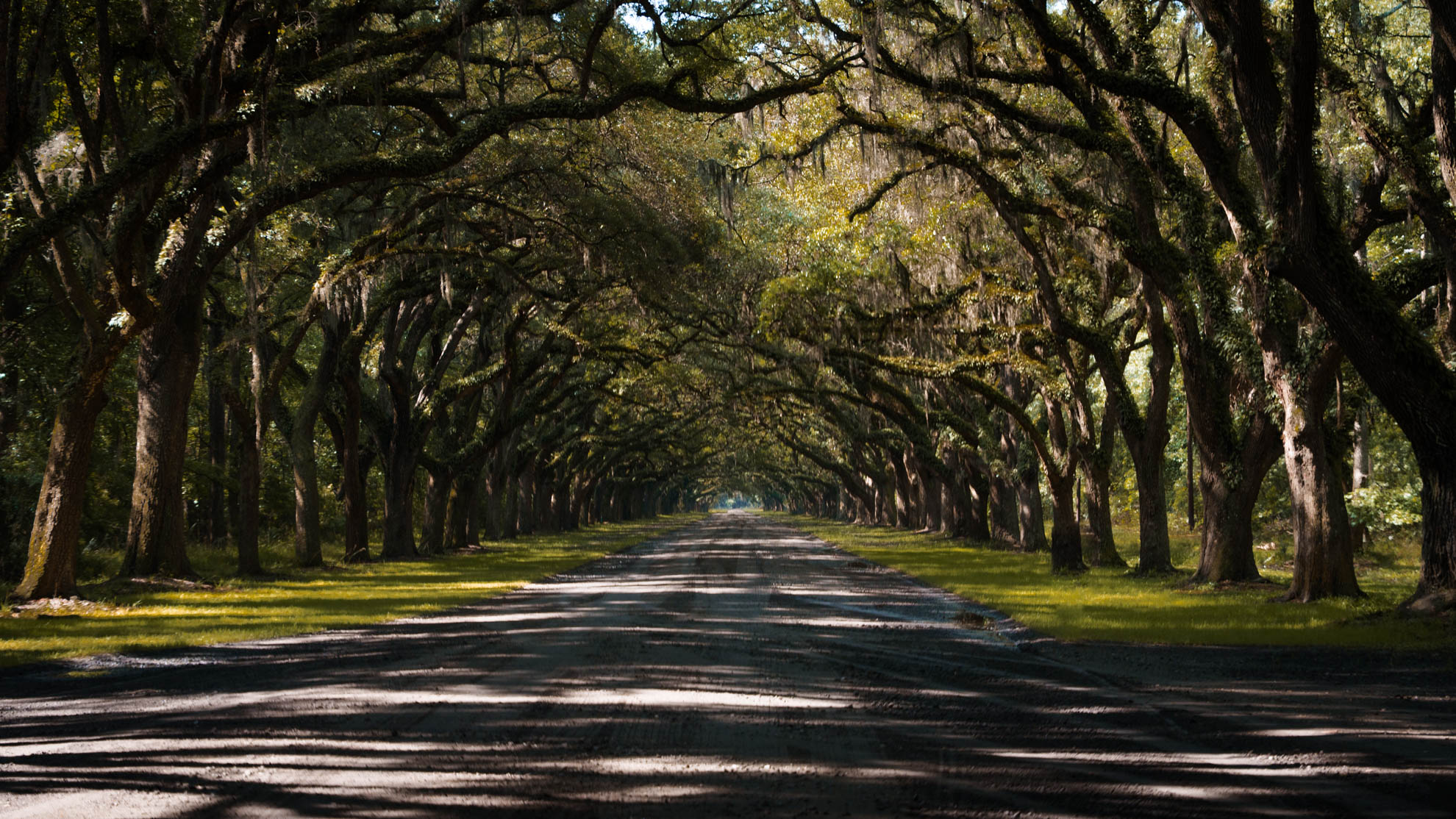 Savannah — DSC03897