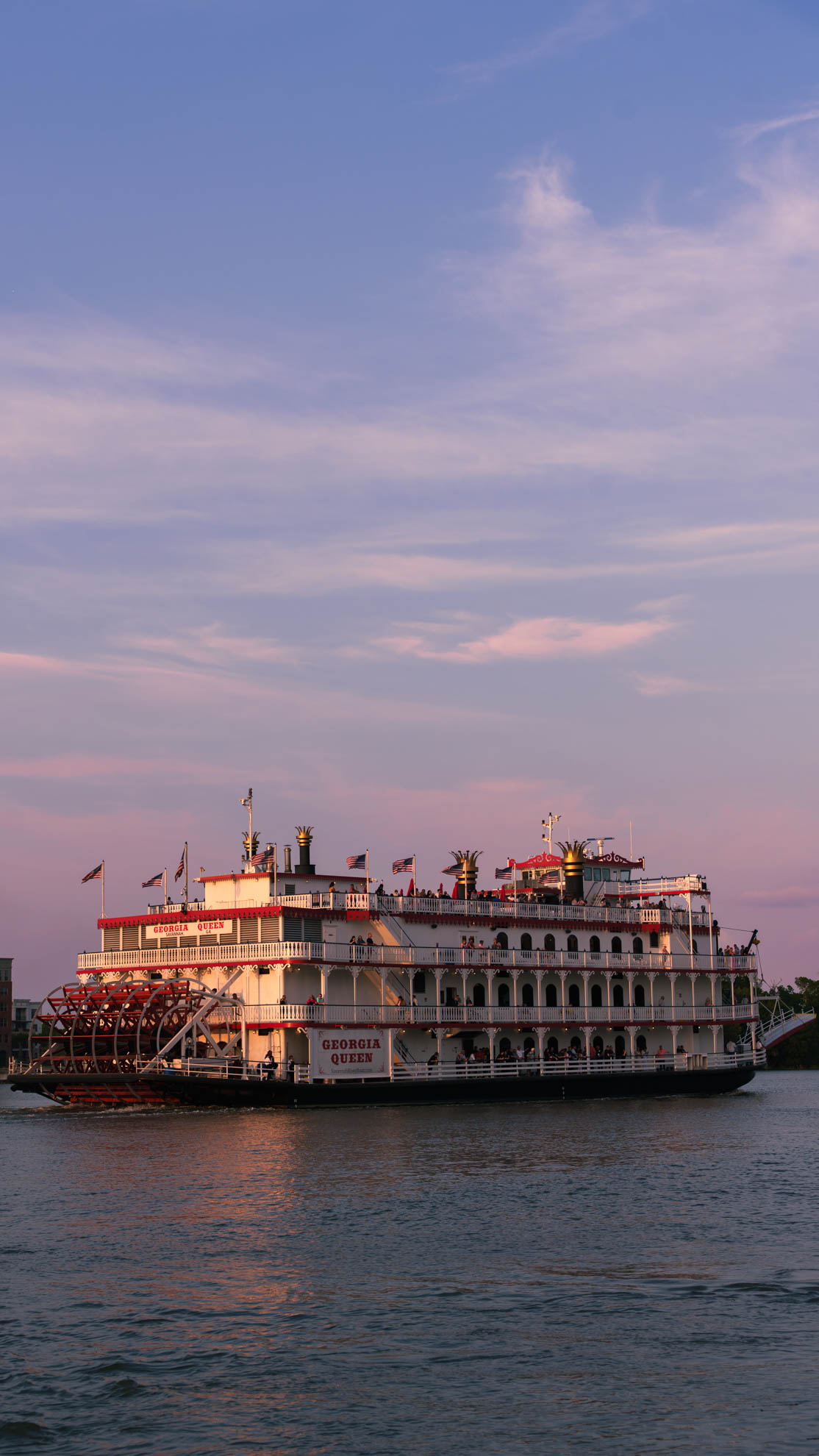 Savannah — DSC04049