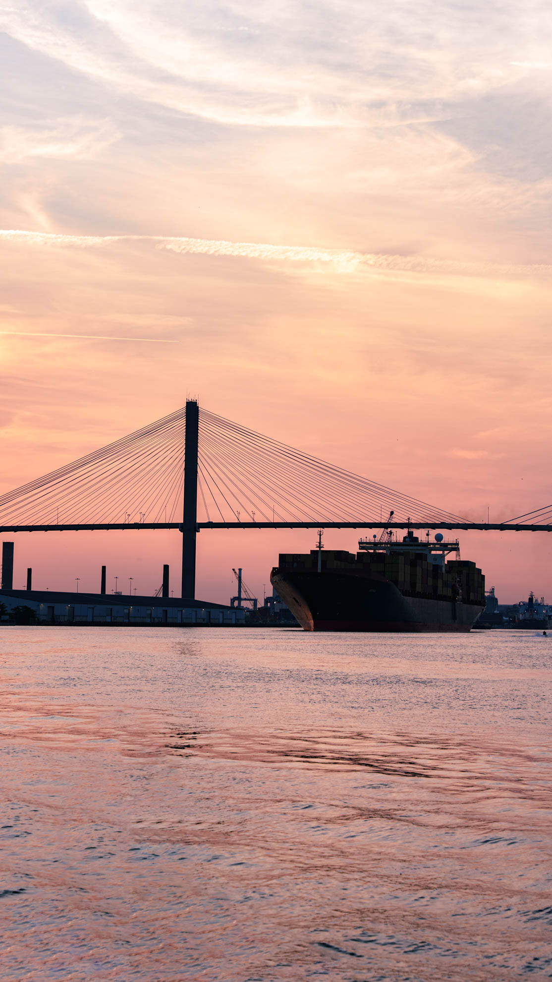 Savannah — DSC04078