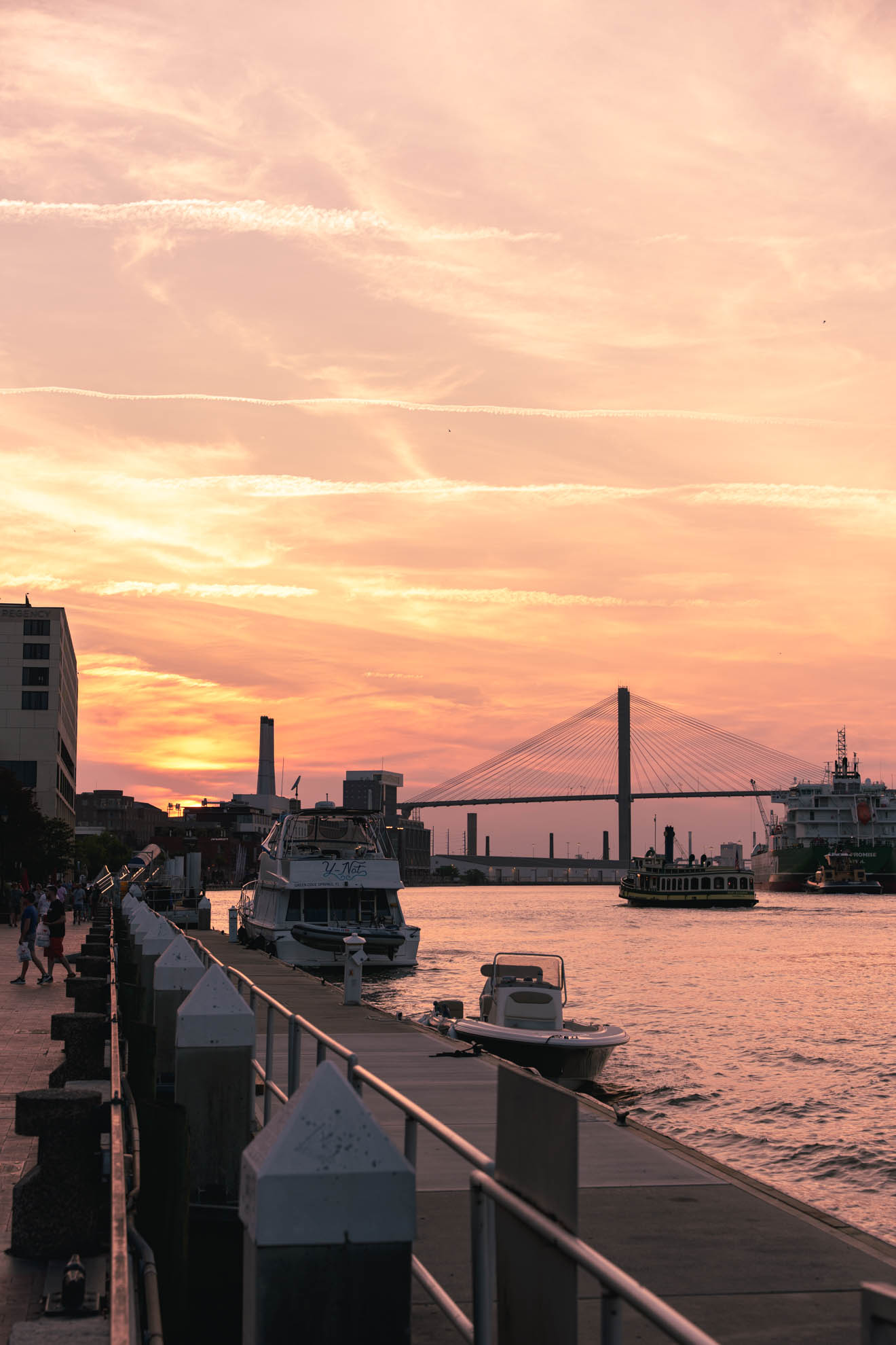 Savannah — DSC04104