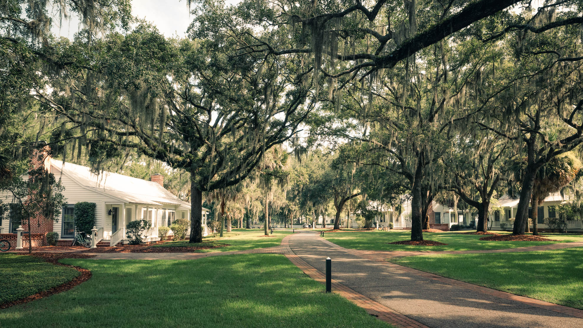 Savannah — DSC08053