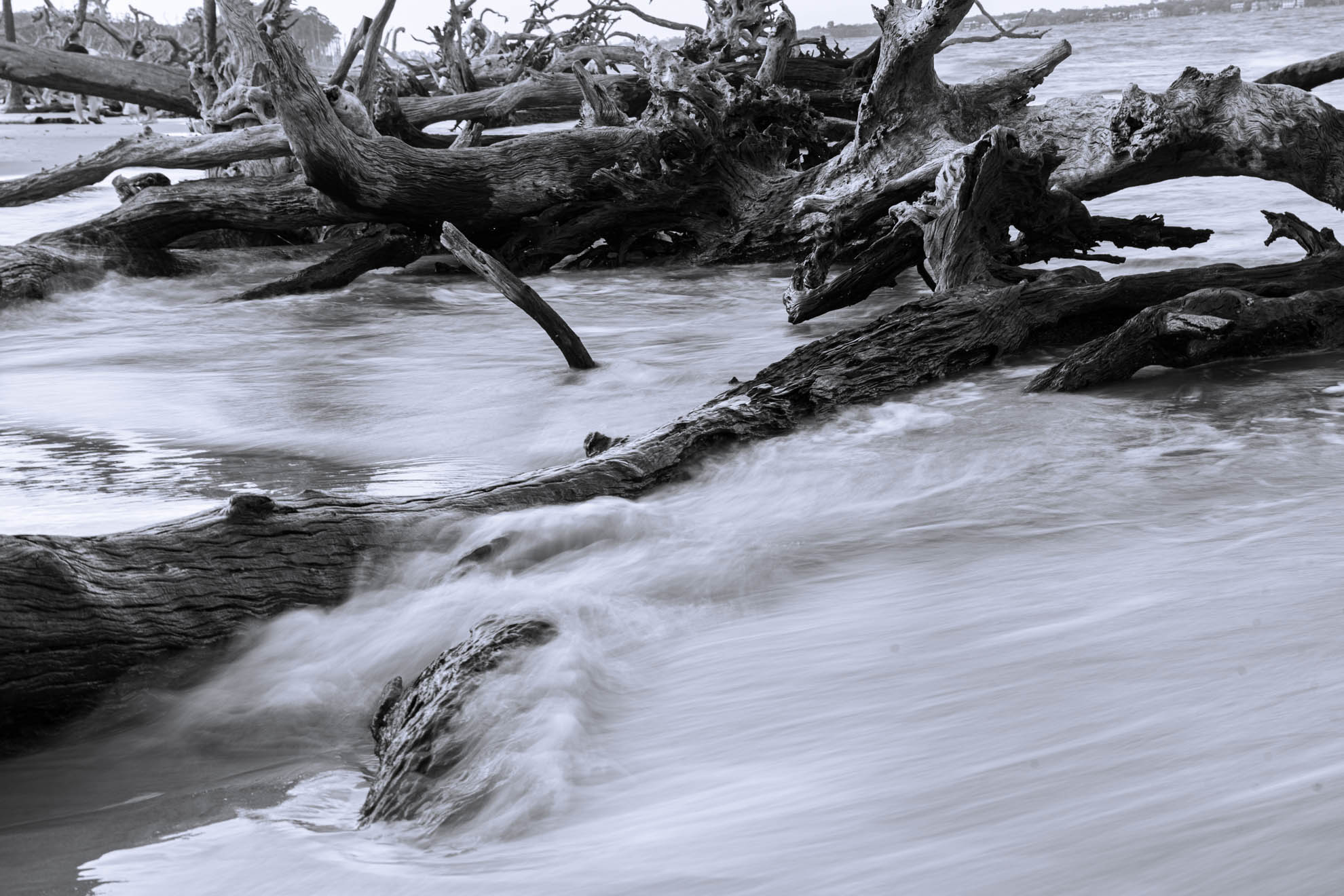 Weathered driftwood in surf, black and white long exposure