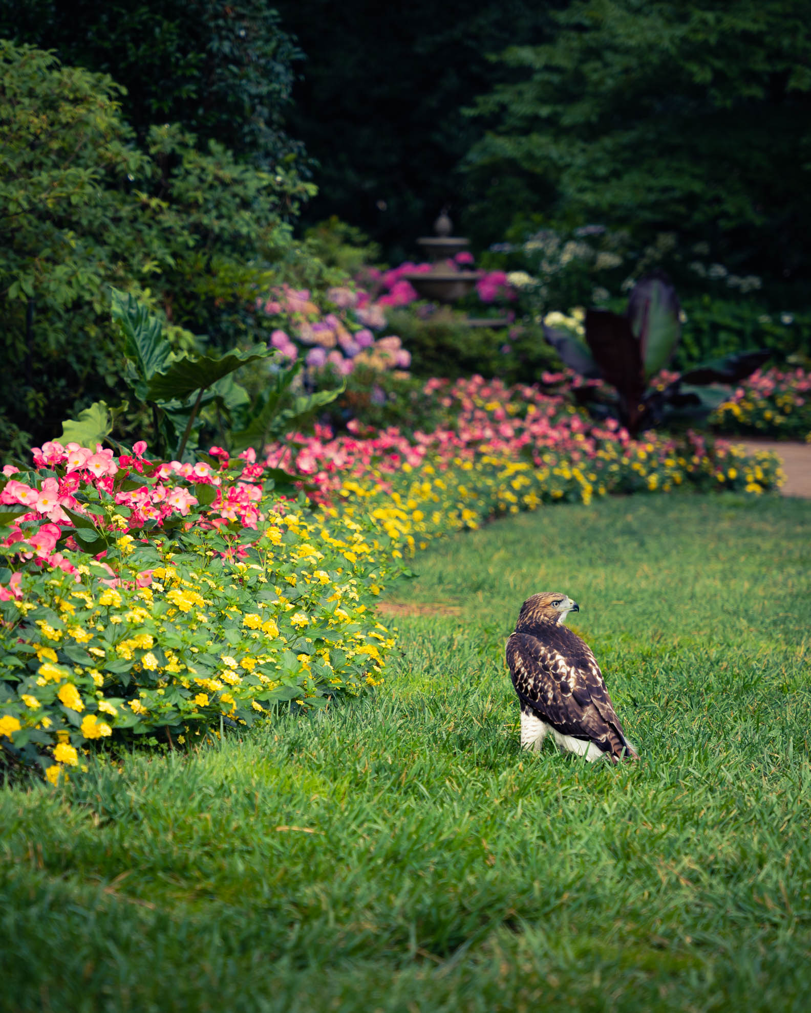 Wildlife — DSC00871