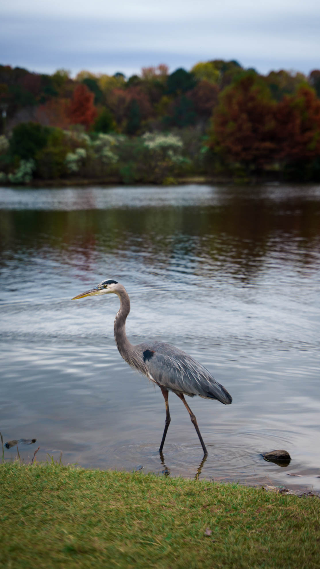Wildlife — DSC02683