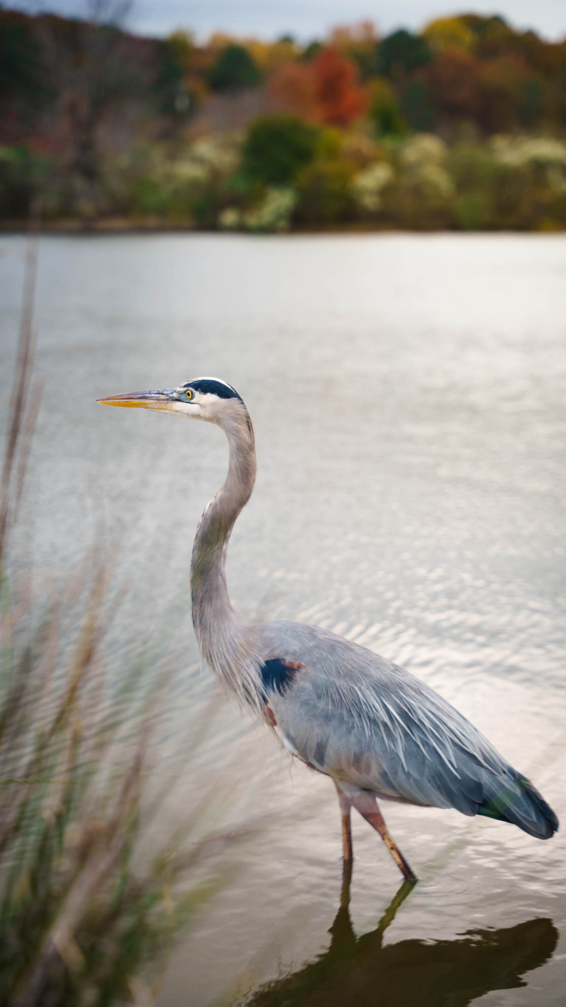 Wildlife — DSC02687