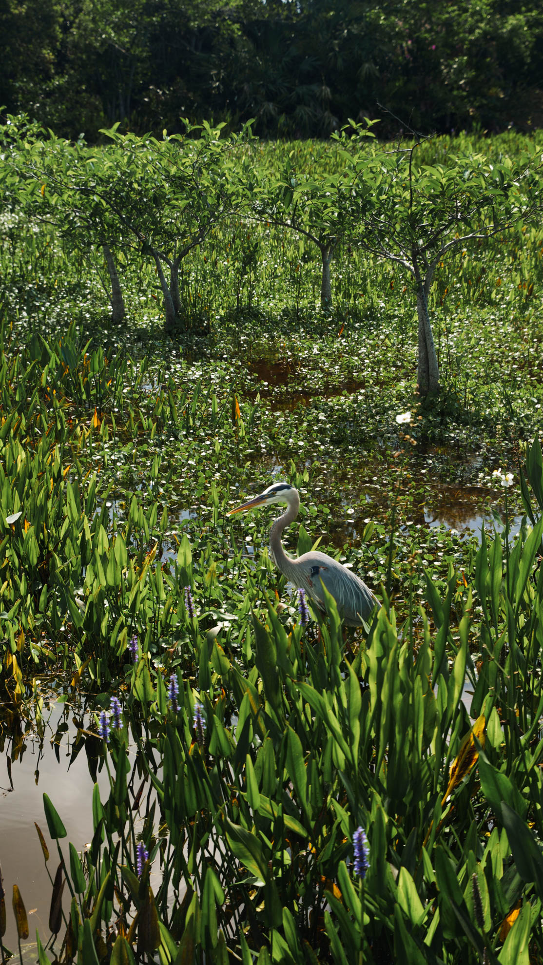 Wildlife — DSC03340